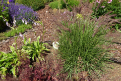 2022-06-29-Gaart-05_rs