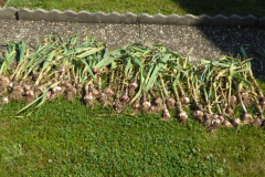 2022-06-29-Gaart-12_rs