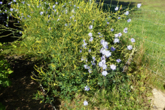 2022-07-04-Gaard-01_rs