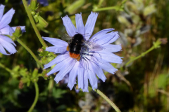 2022-07-04-Gaard-03_rs